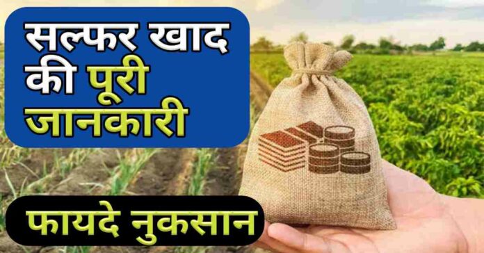 सल्फर खाद की जानकारी [उपयोग, फायदे, नुकसान] | Sulphur Fertilizer Khad Uses Hindi Price