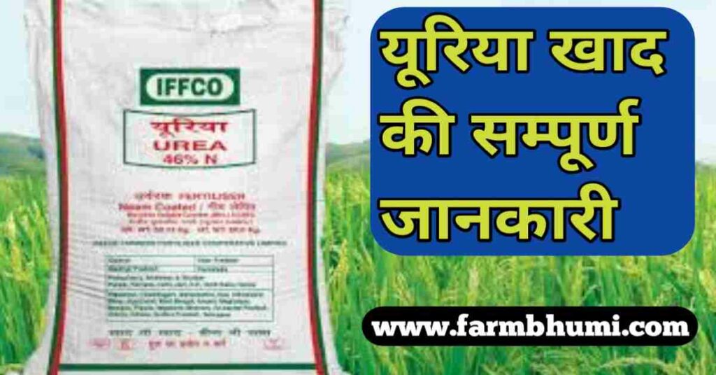 यूरिया खाद की पूरी जानकारी [Price, 50 Kg, उपयोग] Urea Khad Uses Hindi Fertilizer