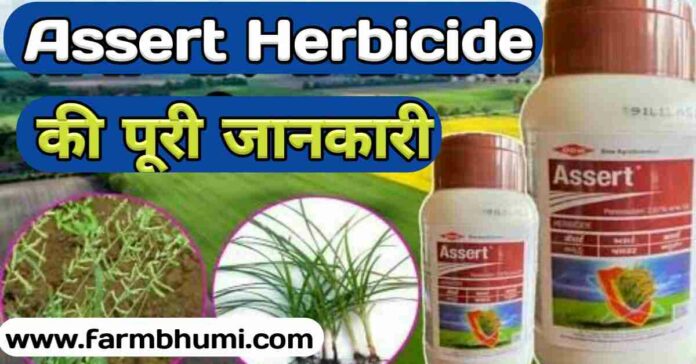 Assert Herbicide Uses Hindi, Dosage, Technical Name, Composition, Price